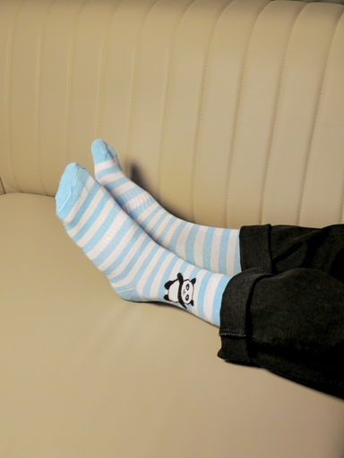 [SKU12] The Panda Socks
